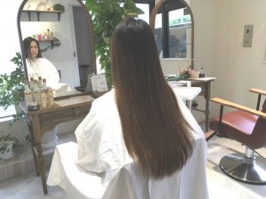 トリマーさんヘアドネ｜LUTIE（ルティエ）本厚木　美容室　