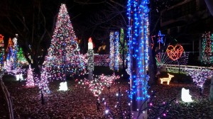 2017-12-05 15.53.32